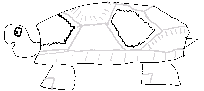 actual picture of me starting this blog a crappy turtle sketch
